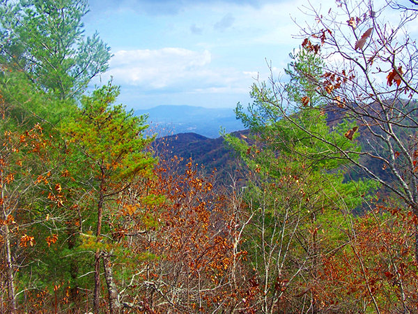View from Big Frog Trail