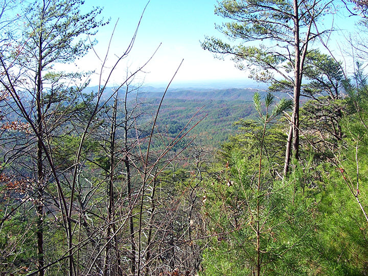 View from Wolf Ridge Trail